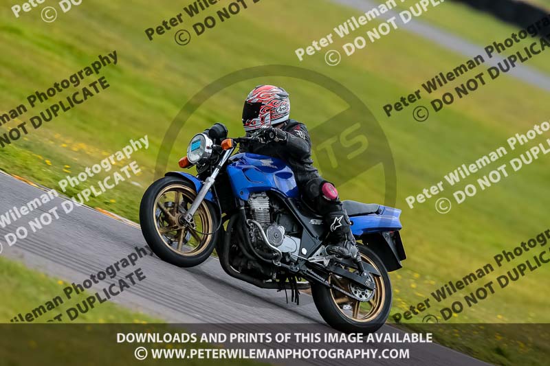 PJ Motorsport 2019;anglesey no limits trackday;anglesey photographs;anglesey trackday photographs;enduro digital images;event digital images;eventdigitalimages;no limits trackdays;peter wileman photography;racing digital images;trac mon;trackday digital images;trackday photos;ty croes